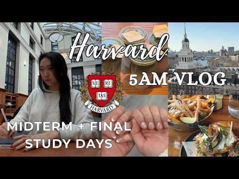 5AM HARVARD STUDY VLOG 🏫 productive midterm days in my life, study motivation, cafe study with me
