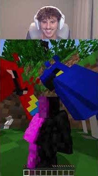Minecraft mini hide and seek