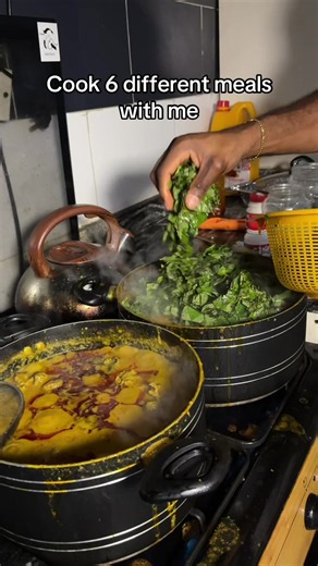 Cook 6 Nigerian Meals: Oha, Groundnut, Nsala, Pepper Soup, Yam Porridge, Abacha