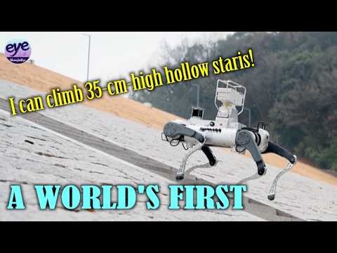 Humanoid Robot Unicorn Agibot launches quadruped robots featuring all-terrain mobility