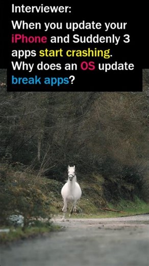 Why Do Apps Crash After an iPhone Update? | Backend Interview #shorts #viral #developerinterview
