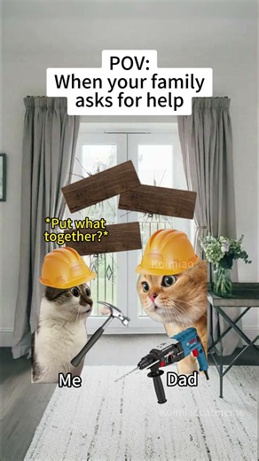 CAT MEMES🐱When your family asks for help #catmemes #memes #funnymemes #funny #foryou #relationship