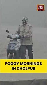 #densefog Engulfs Dholpur, Rajasthan | Minimum Temperature 11°C Forecast