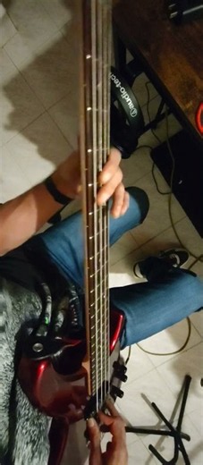 Daphné (Part II) - Django Reinhardt // #walkingbass #bass #jazz #jazzmusic