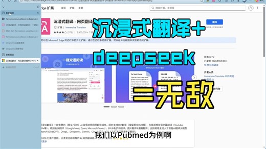 【学习】如何用沉浸式翻译+deepseek看文献