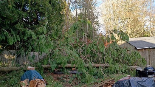 BBB warns Western Washington homeowners to beware storm chasers after wind damage