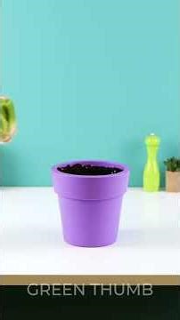 DIY Biochar: Turning Kitchen Scraps into Super Soil Amendments