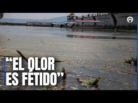 Crisis de agua en Guadalajara: exigen emergencia sanitaria