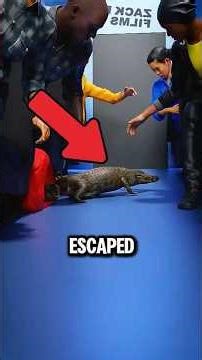 These Passengers Survived the Most Terrifying Plane Crashes… And the Last One Is UNREAL ✈️😱