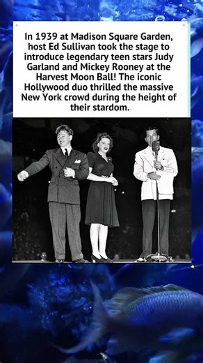 Judy Garland & Mickey Rooney Introduced by Ed Sullivan! (1939) 🌟 #JudyGarland #OldHollywood #Shorts