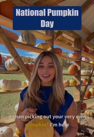 IN YOUR TOWN: Halloween is just days away! Foster Family Farm in South Windsor is celebrating National Pumpkin Day with pumpkin picking, hayrides and corn mazes. Your reporter Anna Bonelli has the latest. #southwindsor #wfsb