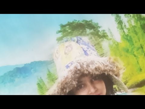 Good morning have a nice day 🌻