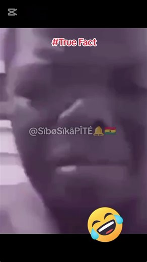 Explore Amazing True Facts You Didn't Know About