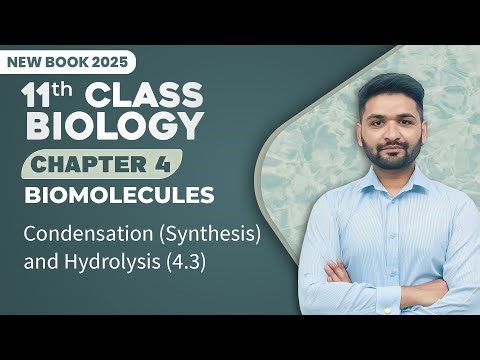 11th Class Biology Chapter 4 | Condensation Synthesis and Hydrolysis | 11th Biology New Book 2025