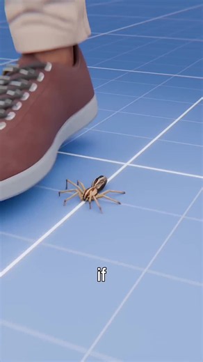 What Happens If You Stomp on a Spider? — Real Facts & Outcomes