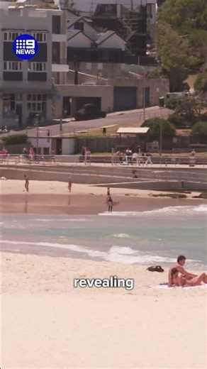 Fifty lives have been lost to coastal drownings this summer | 9 News Australia