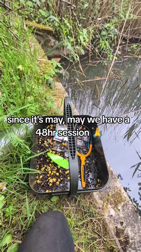 Pleasee #carp #carpfishing #fishing #viral #fyp | carp