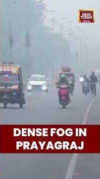 Prayagraj Faces #densefog & Cold Day | Minimum Temperature 11°C Forecast