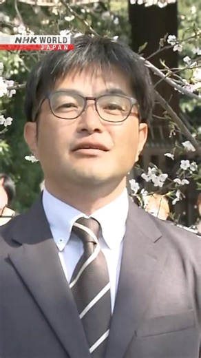 Tokyo's cherry blossoms in full bloom under sunny skiesーNHK WORLD-JAPAN NEWS #shorts