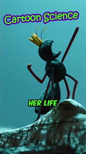 Frog Made the Ant Live Longer