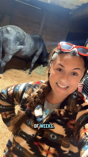 Last chance to get the priority shipping upgrade in the KVS Store for the “Katie Collection”🐴 Link is in the comments⬇️ | Katie Van Slyke