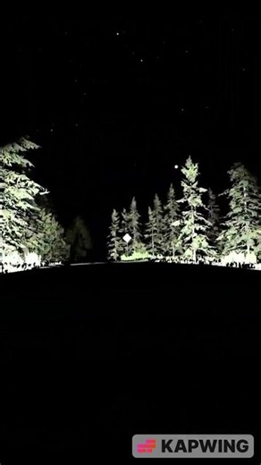 BeamMP Brand Senora RolePlay Police Pursuit