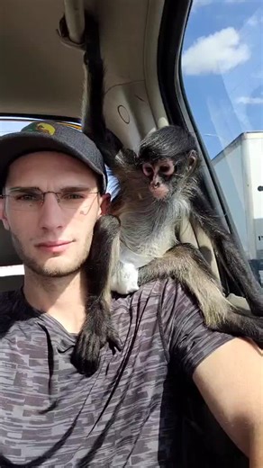 Funny Spider Monkey Without Thumbs at Fragile Planet Wildlife Center