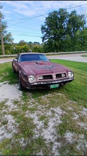 1975 Pontiac Trans Am