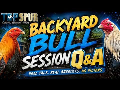 Backyard Bull Session Q&A