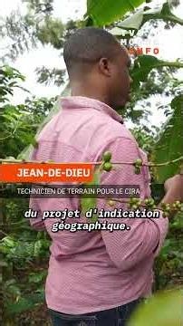 Le succès du café du Rwanda