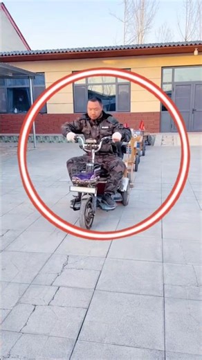 All the dogs followed their owners into the fields