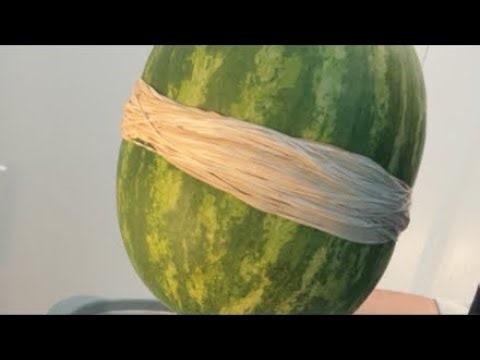 EXTREME WATERMELON EXPLOSION!!!