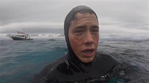 The clip, first shared by Turkish media account Bulvar Medya, shows the turtle's sudden flipper slap leaving the diver stunned near a rocky shoreline.This is definitely $SlapTurtlehttps://t.co/7rl49jQbRP It quickly drew nearly 40,000 likes and over 3 million views, with people joking the turtle was defending its turf, like 'Get ya b*tch ass up outta here homie.'