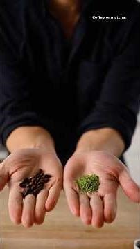 Which one are you? 🍵 ☕️ #coffee #matcha #recipe #cooking #yeungmancooking