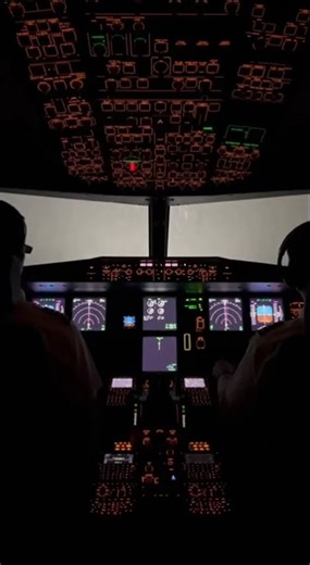 Airplane Landing in Zero Visibility Fog ✈️ CAT III Cockpit View #AirplaneLanding #CockpitView