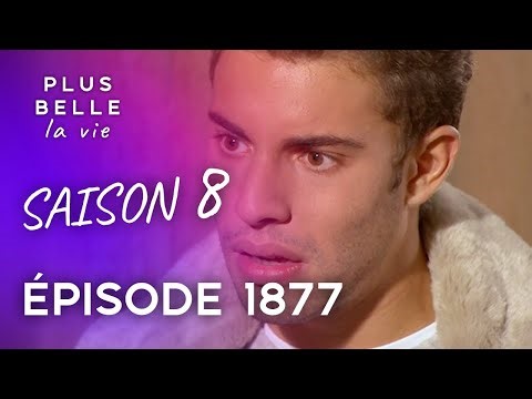 Saison 8, Épisode 1877 - PLUS BELLE LA VIE | Abdel regrette sa nuit avec Circée...