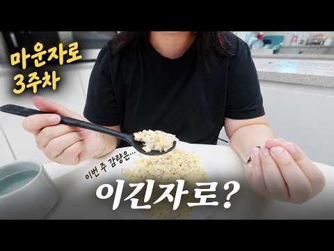 마운자로 다이어트 3주차 후기 | 식욕은 줄었는데, 감량은 생각보다…
