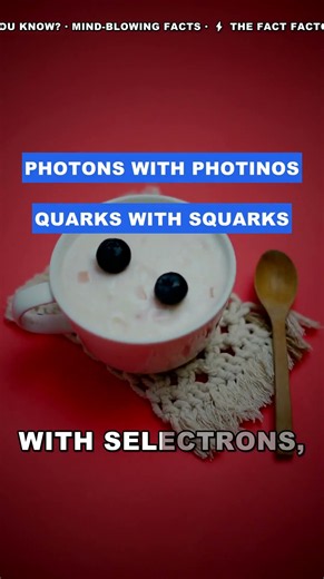 Why Every Particle Has a Secret Twin