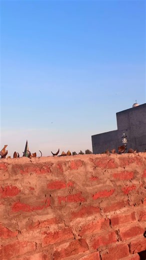 Trending Pakistani Songs