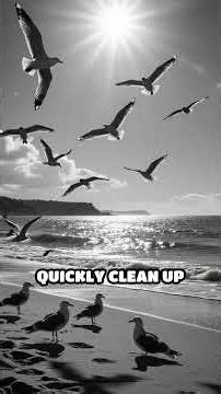 Oregon’s Exploding Whale: A Bizarre Blunder