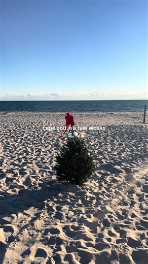 Cape Cod Christmas: A Coastal Holiday in New England 🎄🌊