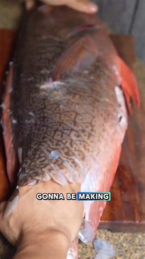 Yohsuke Kobayashi on Instagram: "Catch and cook Uhu musubi #catchandcook #spearfishing #fishing #hawaii #oahu"