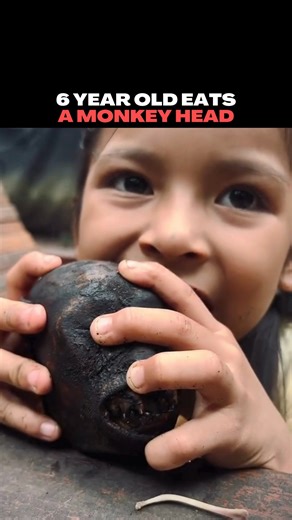 In many Amazonian Indigenous communities, foods that may seem unusual to outsiders are simply part of everyday life. Animals like monkeys are traditionally hunted for protein, and children grow up eating the same foods as adults. For these communities, this isn’t shock — it’s normal, sustainable living shaped by the rainforest and passed down through generations. #culture #jungle #amazonas #tribe #food Video credit: /junglekeeper | Unrestricted Borders