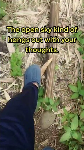 How to Find Direction When Life Feels Empty #shorts #motivation #selfimprovement #selfcare