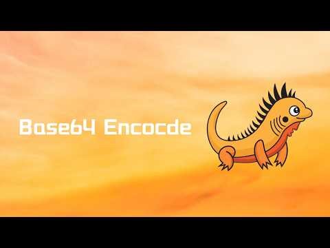 Zig | Base64 Encode | Tutorial