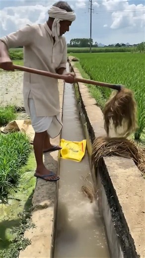 Irrigation Canal Cleaning | Removing Weeds with an Agricultural Shovel