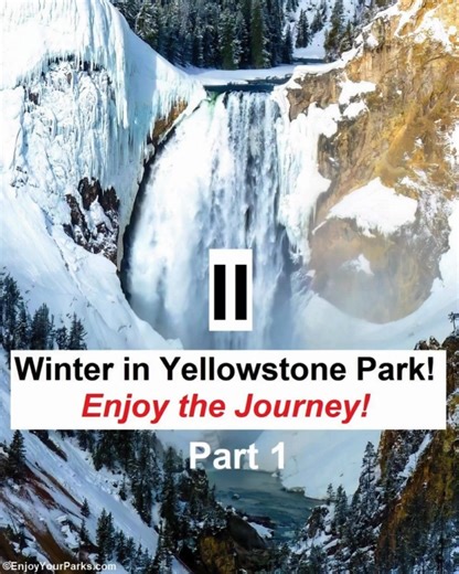 WINTER IN YELLOWSTONE (PART 1) Enjoy the journey as we take you on a ride through Yellowstone Park during the winter season (part 1). For more info on Winter in Yellowstone click here: https://enjoyyourparks.com/yellowstone-national-park/hikes-and-places/winter-in-yellowstone-park/. Have you visited Yellowstone Park during the winter? LET US PLAN YOUR NATIONAL PARK VACATION: www.EnjoyYourParksTravel.com. | Glacier Park, Yellowstone Park, Grand Teton National Park