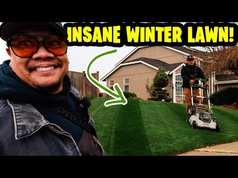 INSANE WINTER LAWN! Great start to 2026!