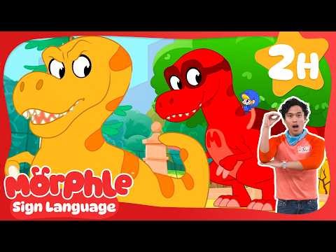 The Dino Superhero! 🦖 | Best of Morphle | Learn ASL & Baby Sign Language for Kids