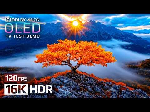 Remarkable 16K Video - 16K HDR 120 fps Dolby Vision (4K/8K TV)